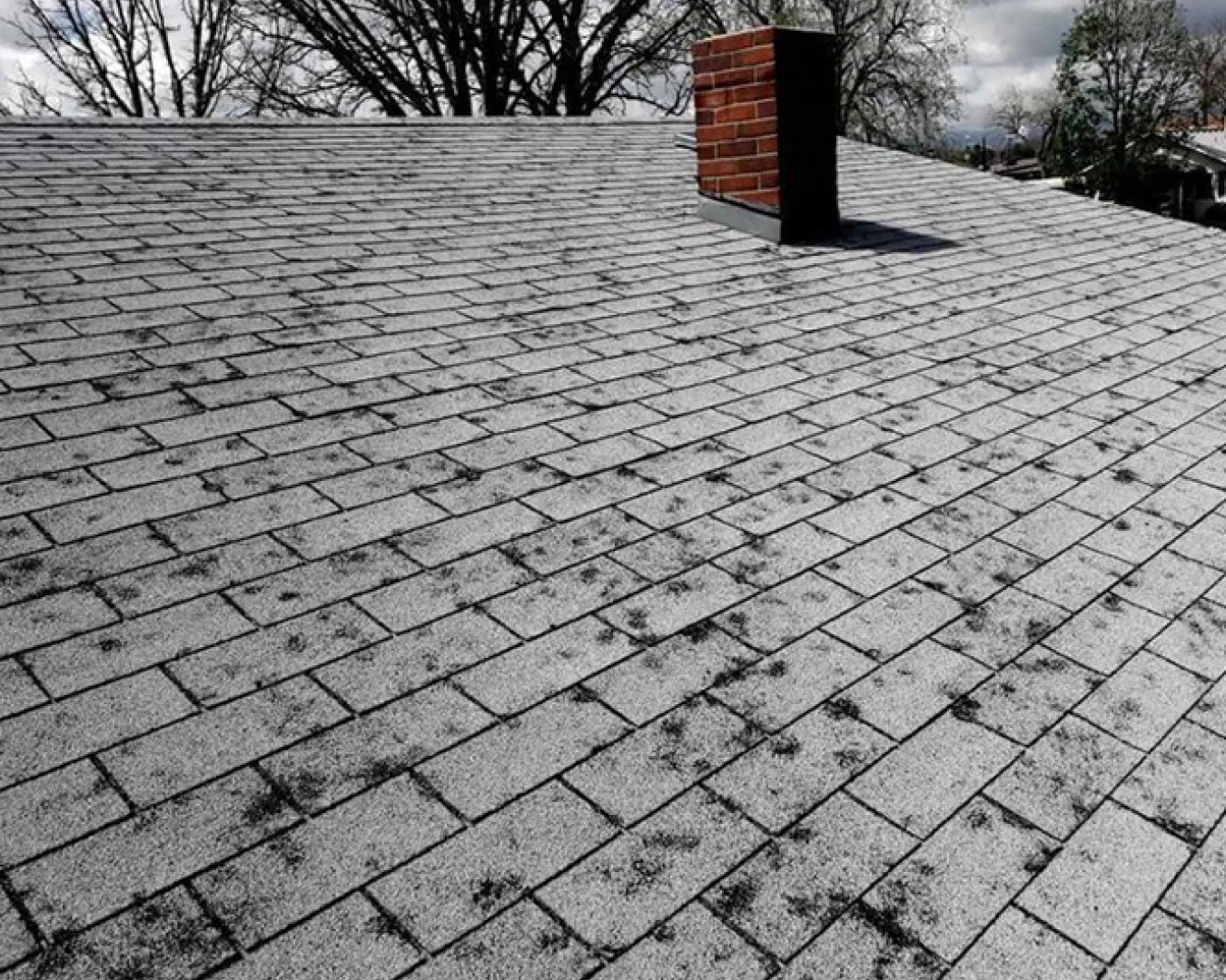 Roof Leak Repair in Belton, TX